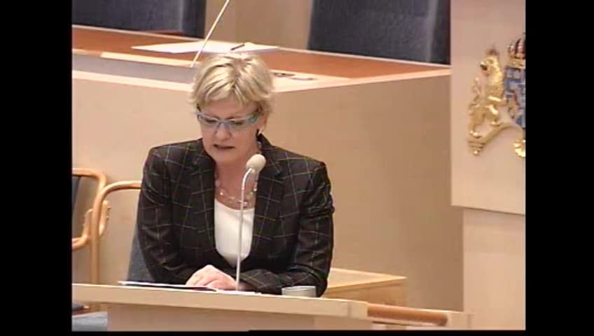 Stillbild från Interpellationsdebatt, Flygplatserna i Torsby och Hagfors