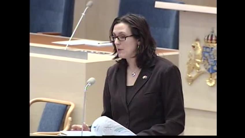 Stillbild från Interpellationsdebatt, Regeringens strategi och prioriteringar i Europapolitiken