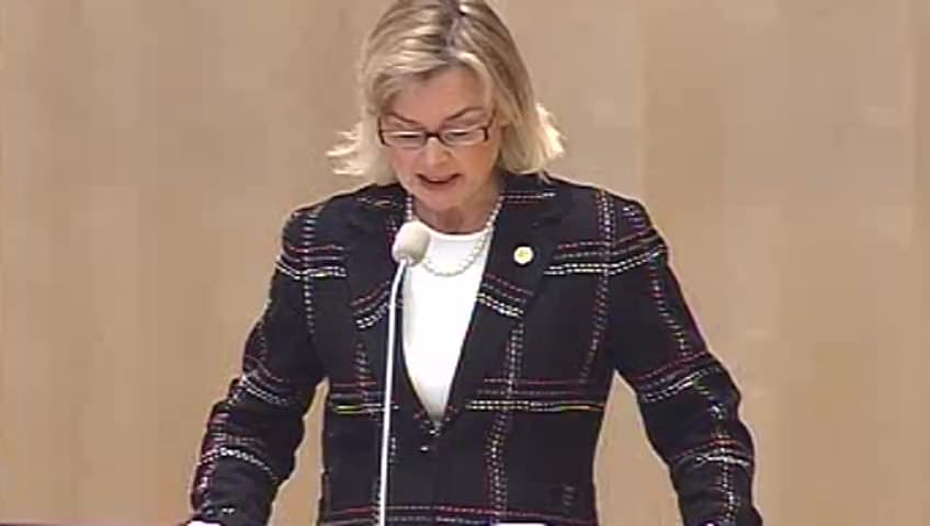 Stillbild från Debatt om förslag, Utgiftsområde 24 Näringsliv