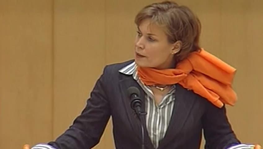 Stillbild från Debatt om förslag, Sveriges säkerhetspolitik