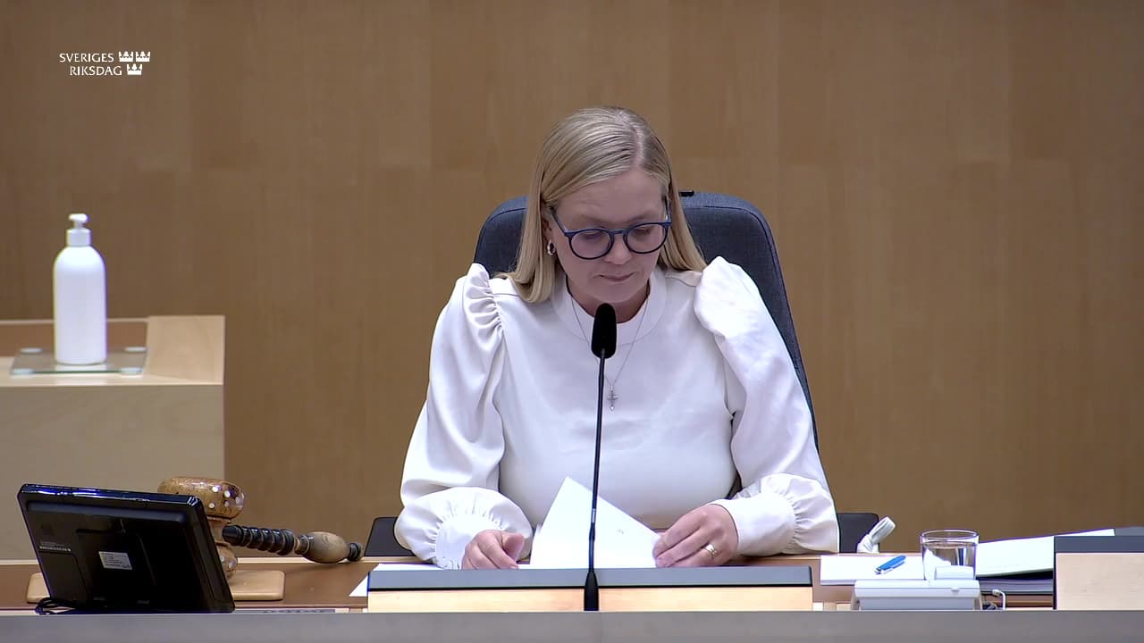 Stillbild från Övrigt kammaren, Val av riksdagsorgan