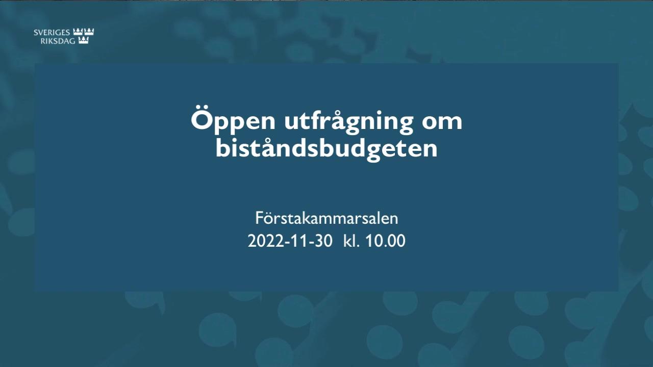 Stillbild från Öppen utfrågning, Öppen utfrågning om biståndsbudgeten