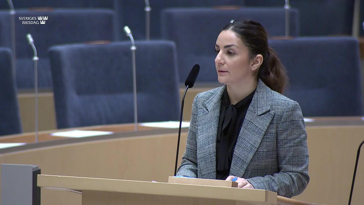 Stillbild från Interpellationsdebatt, Fri entré och Nationalmuseum