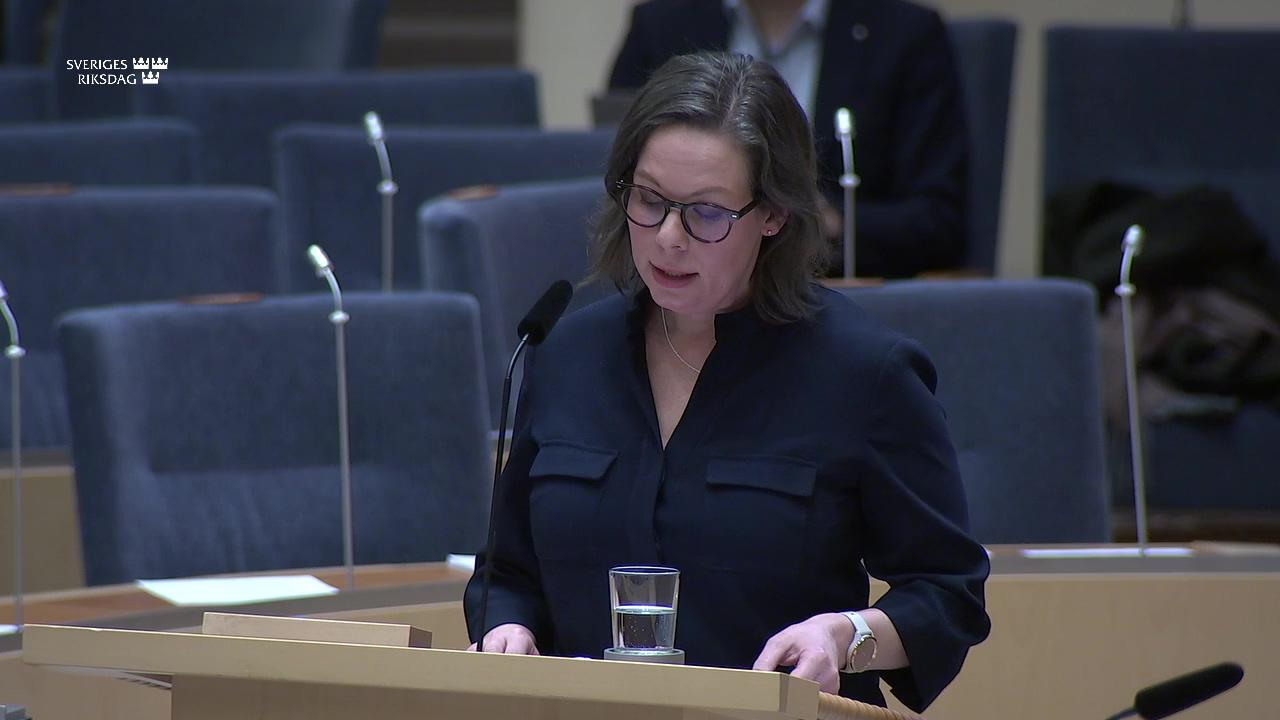 Stillbild från Interpellationsdebatt, Utvisning av utländska medborgare vid grov brottslighet