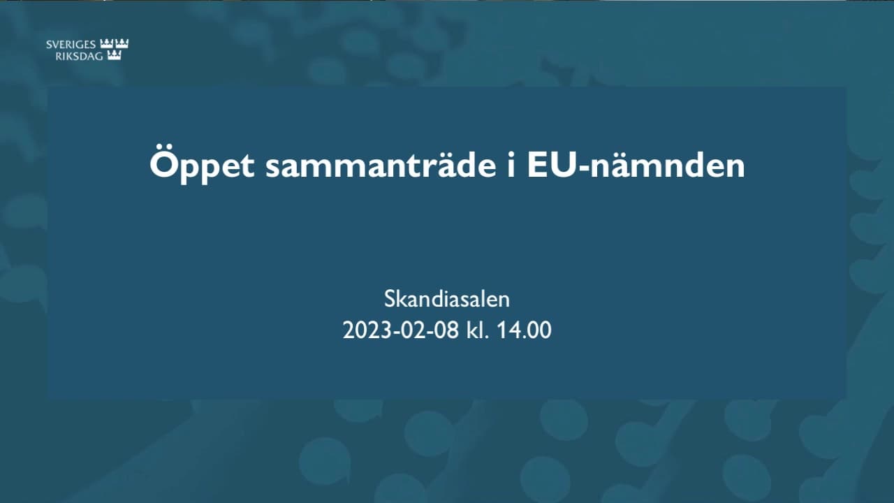 Stillbild från Öppet sammanträde, Öppet sammanträde i EU-nämnden