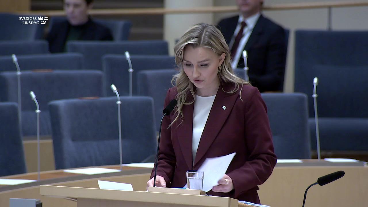 Stillbild från Interpellationsdebatt, Elstöd för hela landet