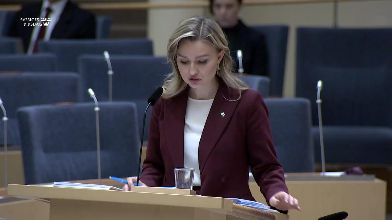 Stillbild från Interpellationsdebatt, Elstöd till företagen