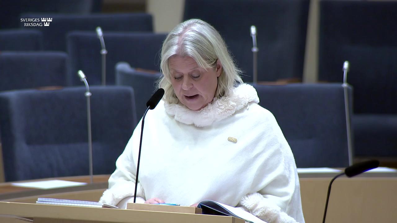 Stillbild från Interpellationsdebatt, Resurser till socialtjänsten för att motverka att unga dras in i kriminell verksamhet