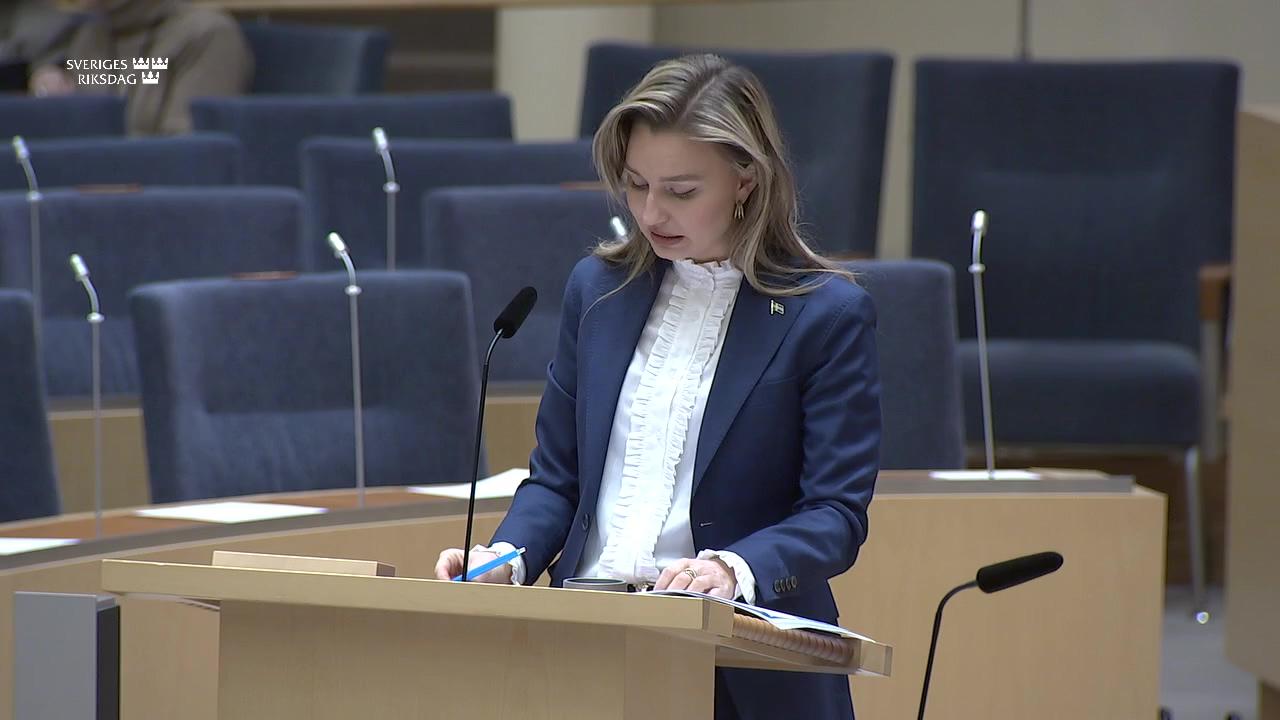 Stillbild från Interpellationsdebatt, Öresundsverkets framtid