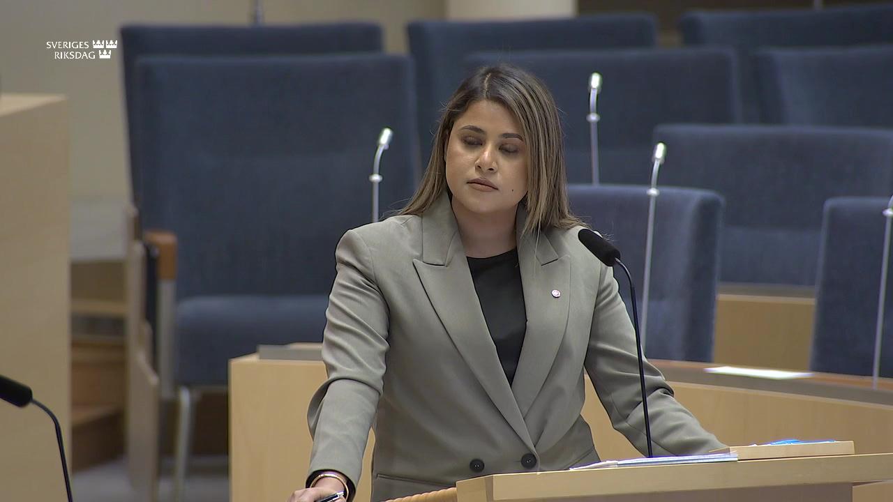 Stillbild från Interpellationsdebatt, Bedrägerier