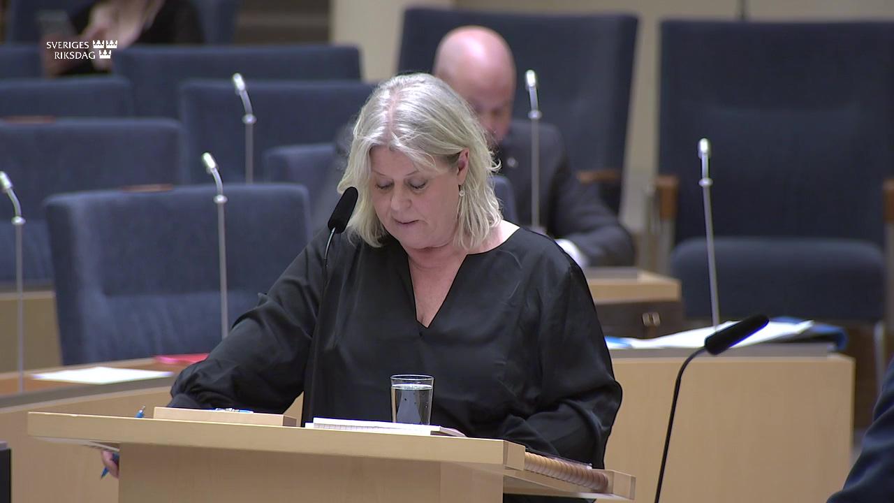 Stillbild från Interpellationsdebatt, Brister inom Sis verksamhet