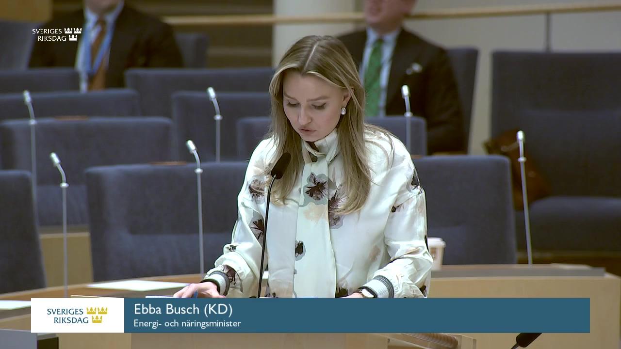 Stillbild från Interpellationsdebatt, Det kommande implementeringsrådets funktion