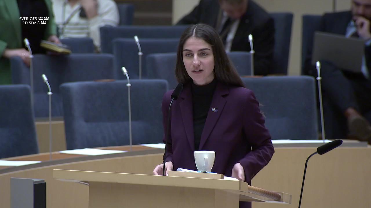 Stillbild från Interpellationsdebatt, Transportsektorns omställning