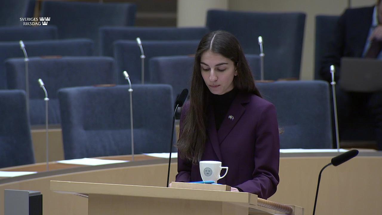 Stillbild från Interpellationsdebatt, Vattenkraften och Sveriges elsystem