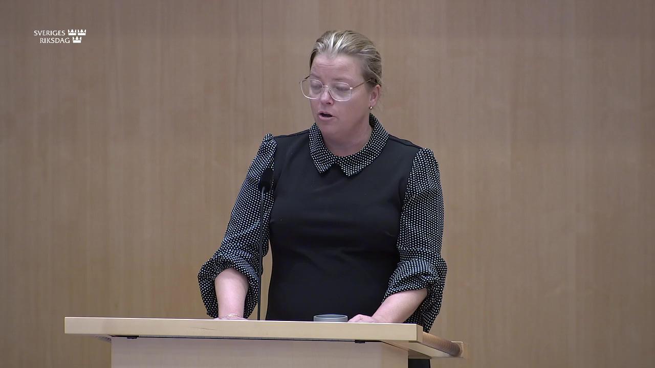 Stillbild från Debatt om förslag, Riksrevisionens rapport om personalförsörjningen av kontinuerligt tjänstgörande gruppbefäl, soldater och sjömän