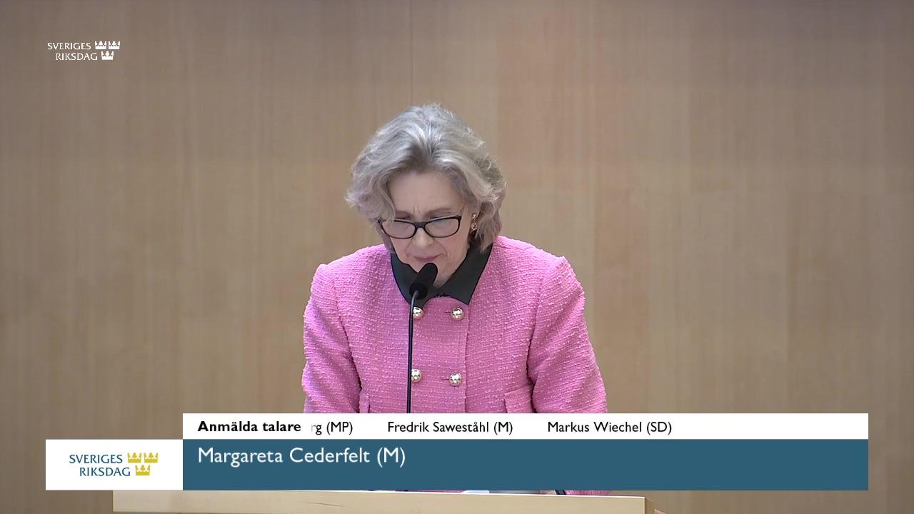 Stillbild från Debatt om förslag, Mänskliga rättigheter