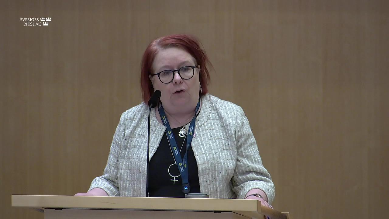 Stillbild från Debatt om förslag, Minoritetsfrågor