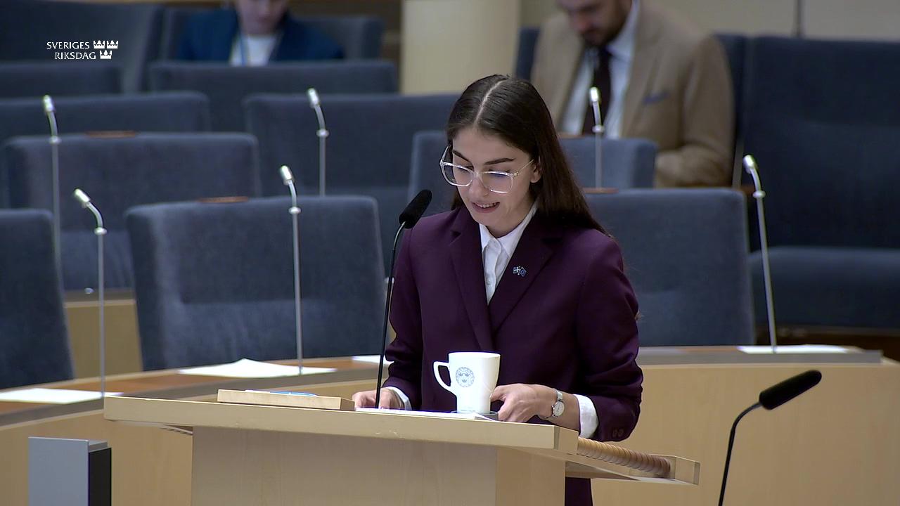 Stillbild från Interpellationsdebatt, Ny utredning om strandskyddet