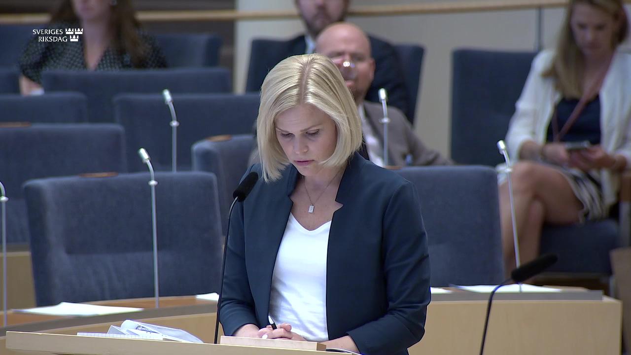 Stillbild från Interpellationsdebatt, Lämnaprogram för kvinnor som lever i våldsamma relationer