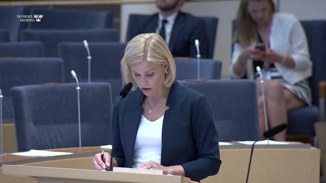 Stillbild från Interpellationsdebatt, Institutet för mänskliga rättigheters fortsatta existens och utveckling