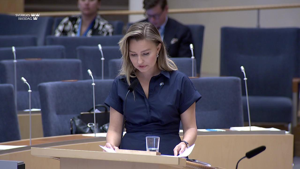 Stillbild från Interpellationsdebatt, Elstöd till företag