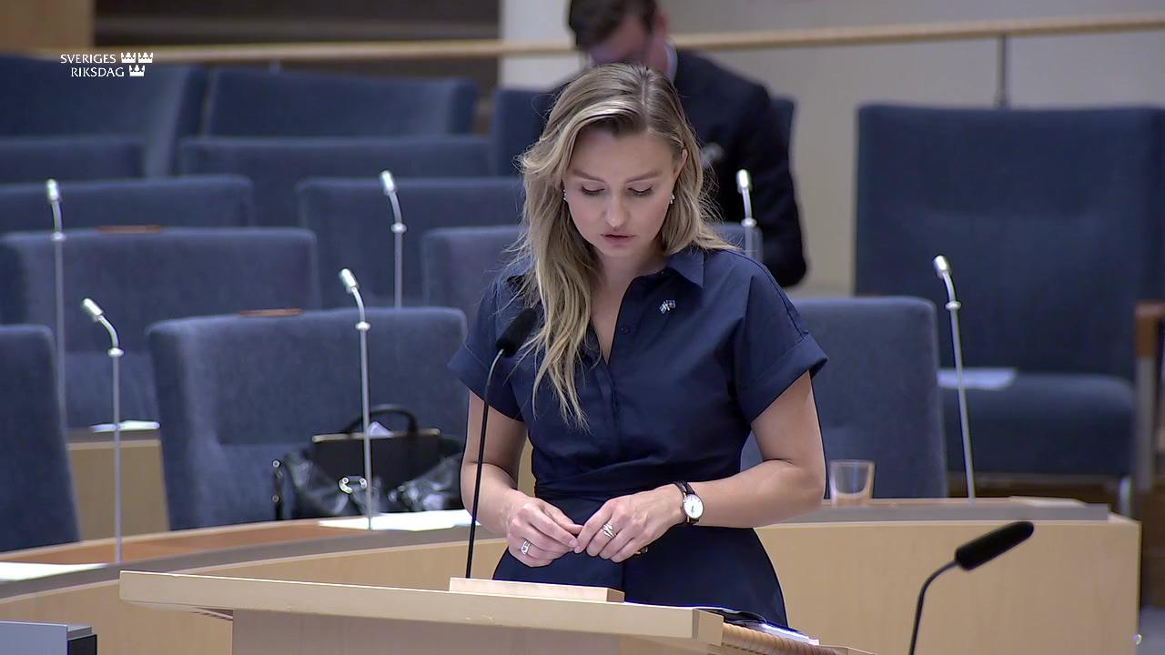 Stillbild från Interpellationsdebatt, Småföretag