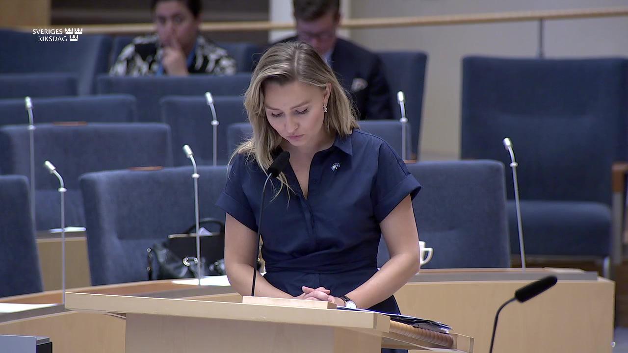 Stillbild från Interpellationsdebatt, Regelförenklingar och regelförbättringar