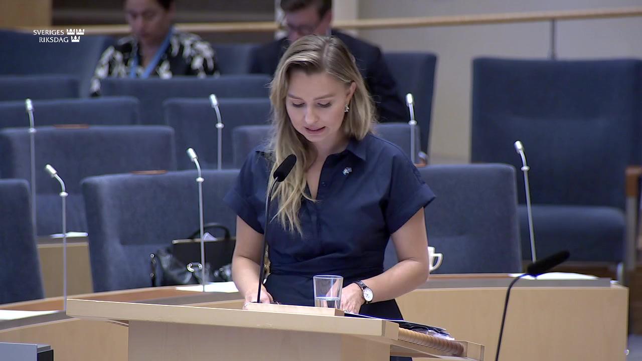 Stillbild från Interpellationsdebatt, Regeringens strategi för norra Sverige