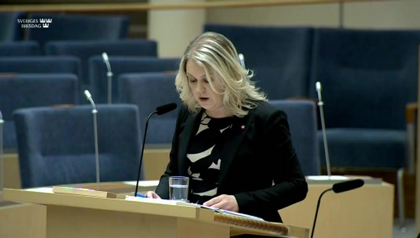 Stillbild från Interpellationsdebatt, Åtgärder mot uppfostringsresor