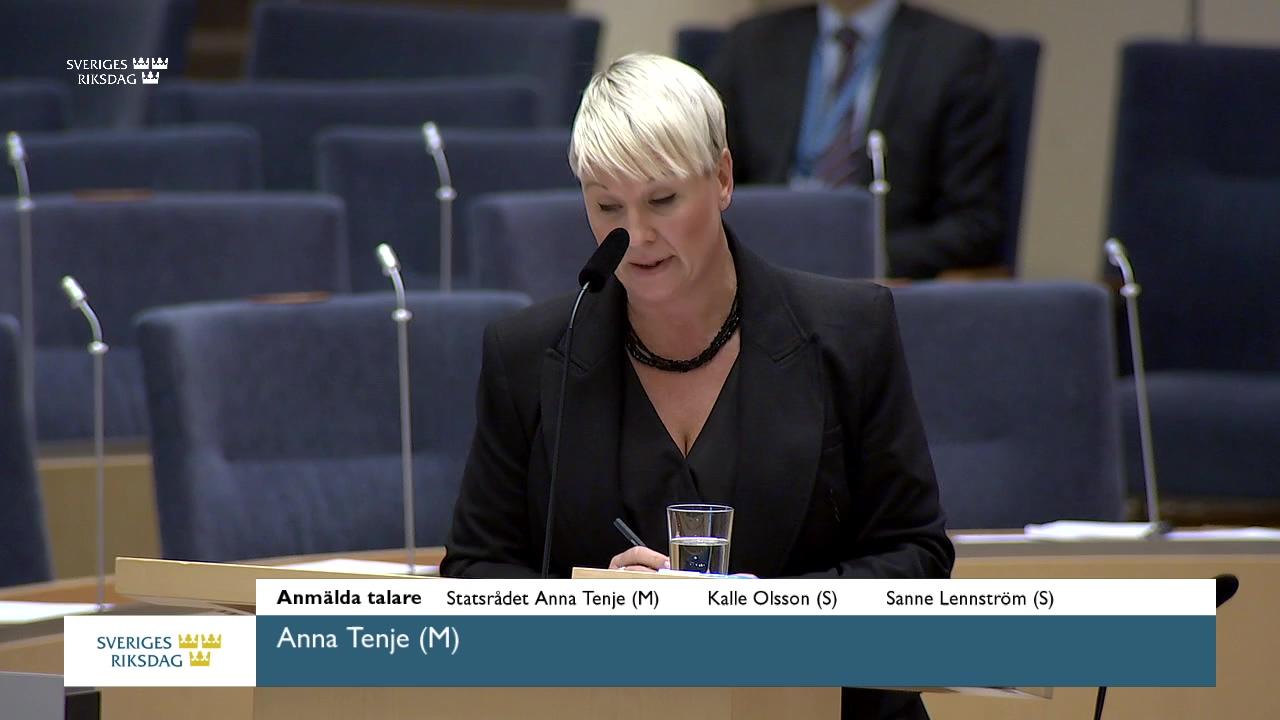 Stillbild från Interpellationsdebatt, Konsekvenser av det ojämställda uttaget av föräldraförsäkringen för kvinnors pension