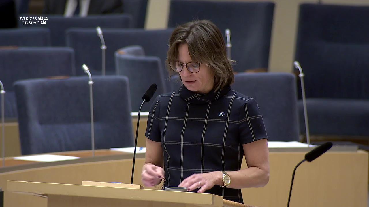 Stillbild från Interpellationsdebatt, Veto i EU-förhandlingar