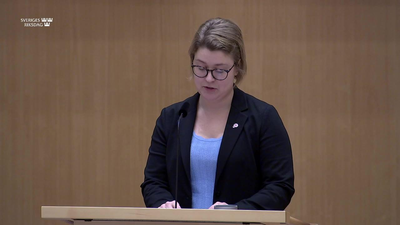 Stillbild från Debatt om förslag, Nya krav på betaltjänstleverantörer att lämna uppgifter