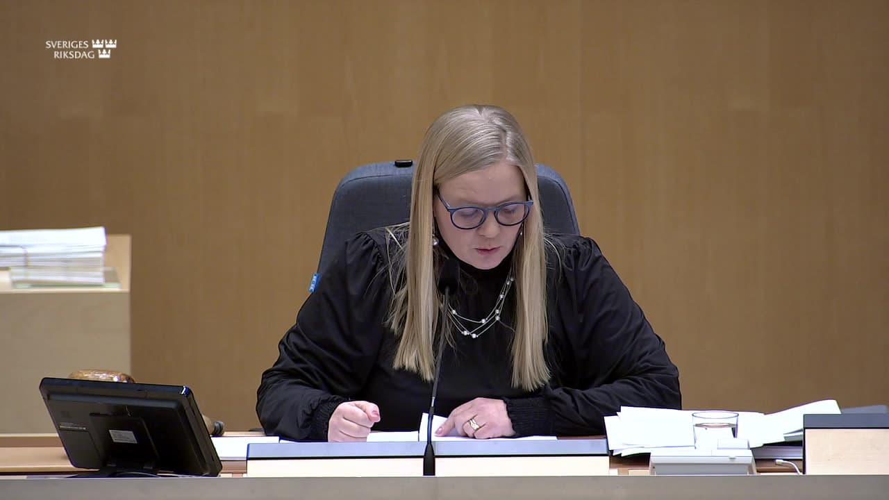 Stillbild från Beslut, Beslut: Effektivare verktyg vid inre utlänningskontroll