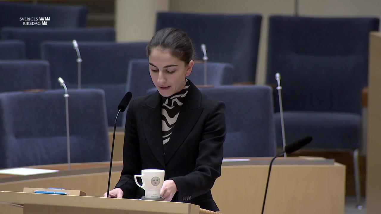 Stillbild från Interpellationsdebatt, Oljeutsläppet i Pukaviksbukten