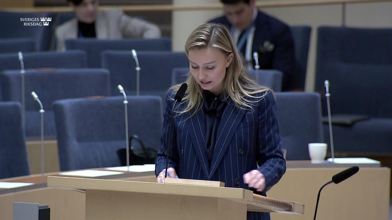 Stillbild från Interpellationsdebatt, Tillståndsprocesser vid utbyggnad av elnät