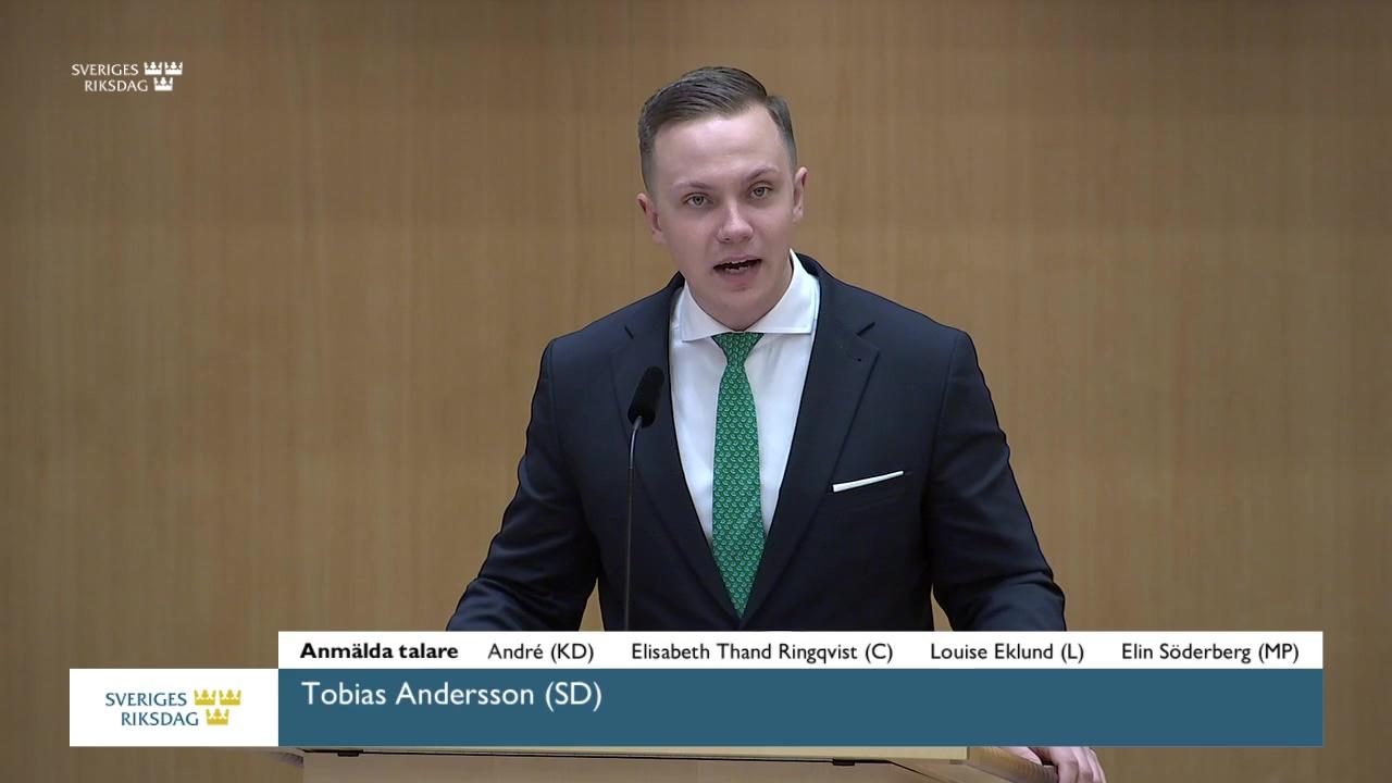 Stillbild från Debatt om förslag, Utgiftsområde 24 Näringsliv