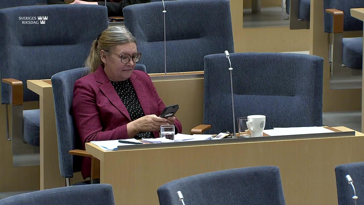 Stillbild från Interpellationsdebatt, Konsekvenser av marknaden inom järnvägssystemet