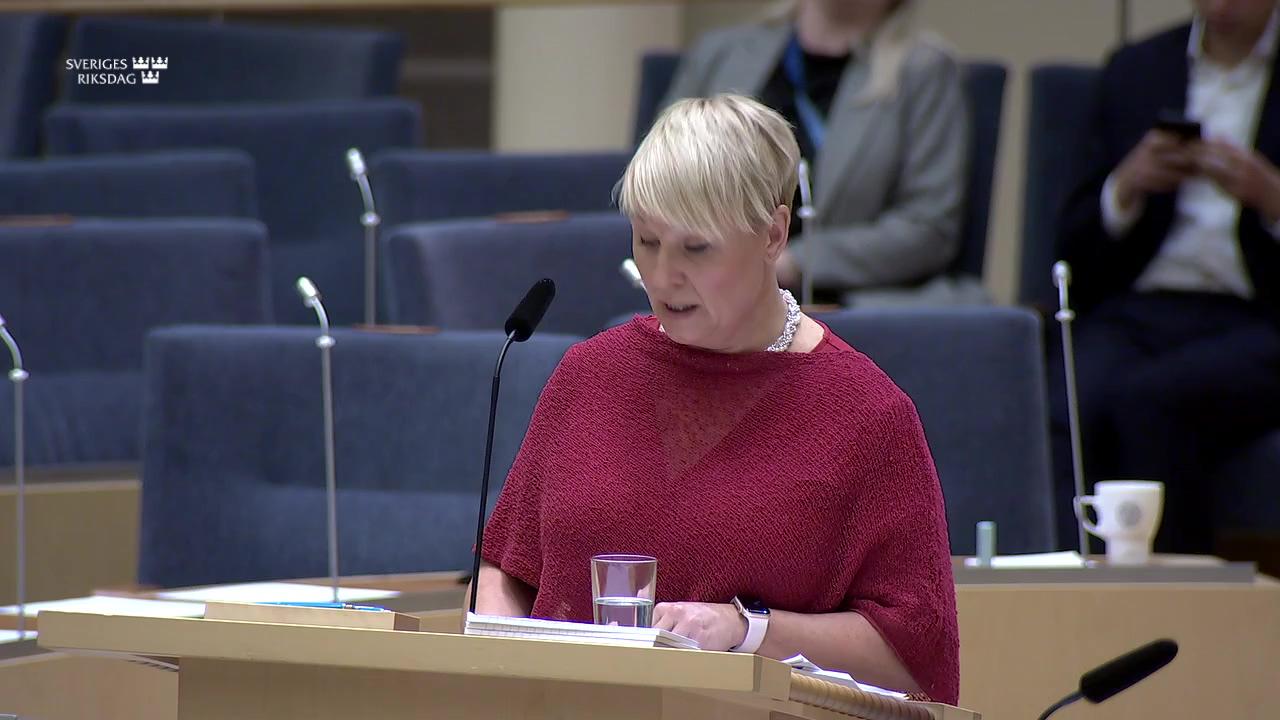 Stillbild från Interpellationsdebatt, Framtiden för trygghetspensionen