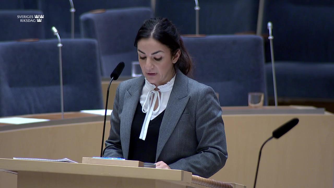 Stillbild från Interpellationsdebatt, Språkcentrum för nationella minoritetsspråk