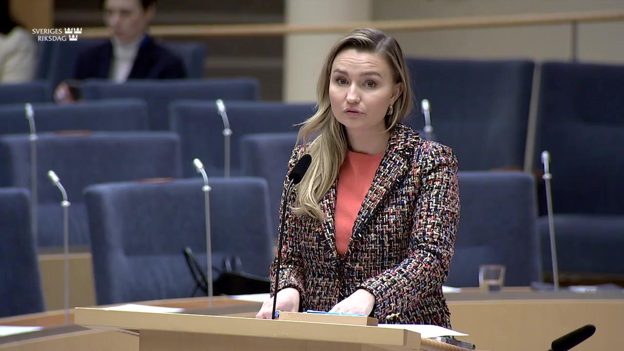 Stillbild från Interpellationsdebatt, Uteblivet elstöd till Region Östergötland