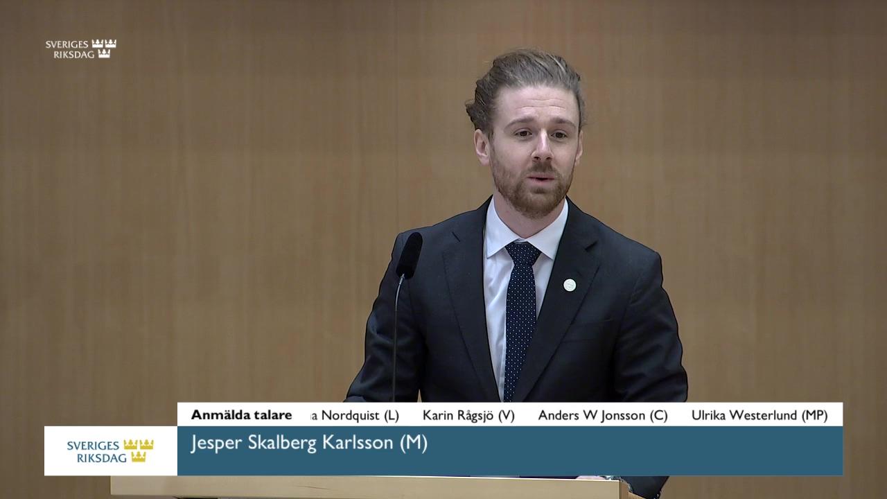 Stillbild från Debatt om förslag, Läkemedel och tandvård