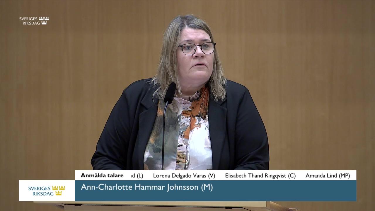 Stillbild från Debatt om förslag, Immaterialrättsfrågor