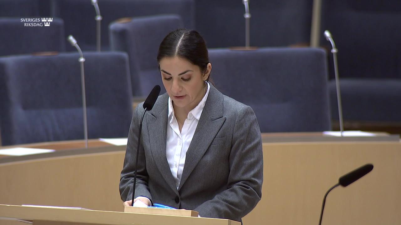 Stillbild från Interpellationsdebatt, Nationellt ansvar för det visuella kulturarvet och bevarandet av svensk fotokonst