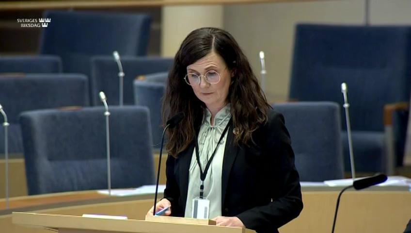 Stillbild från Interpellationsdebatt, Effekter av migrationen