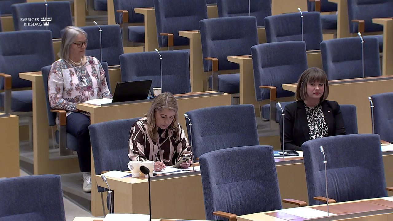 Stillbild från Interpellationsdebatt, Våld i nära relationer