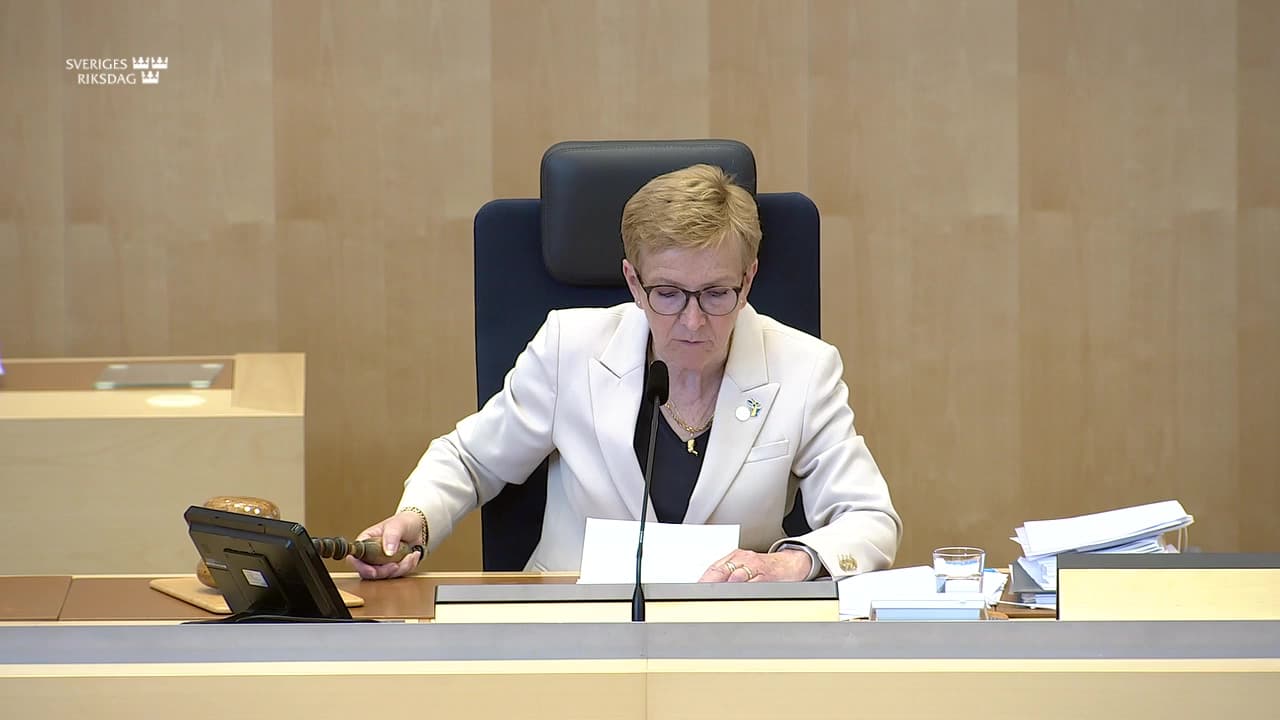 Stillbild från Beslut, Beslut: Straffrättsliga frågor