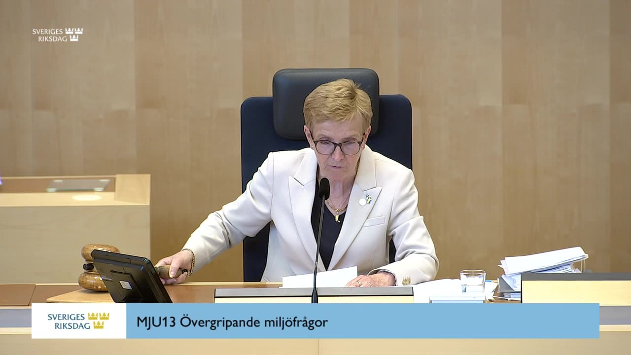 Stillbild från Beslut, Beslut: Övergripande miljöfrågor
