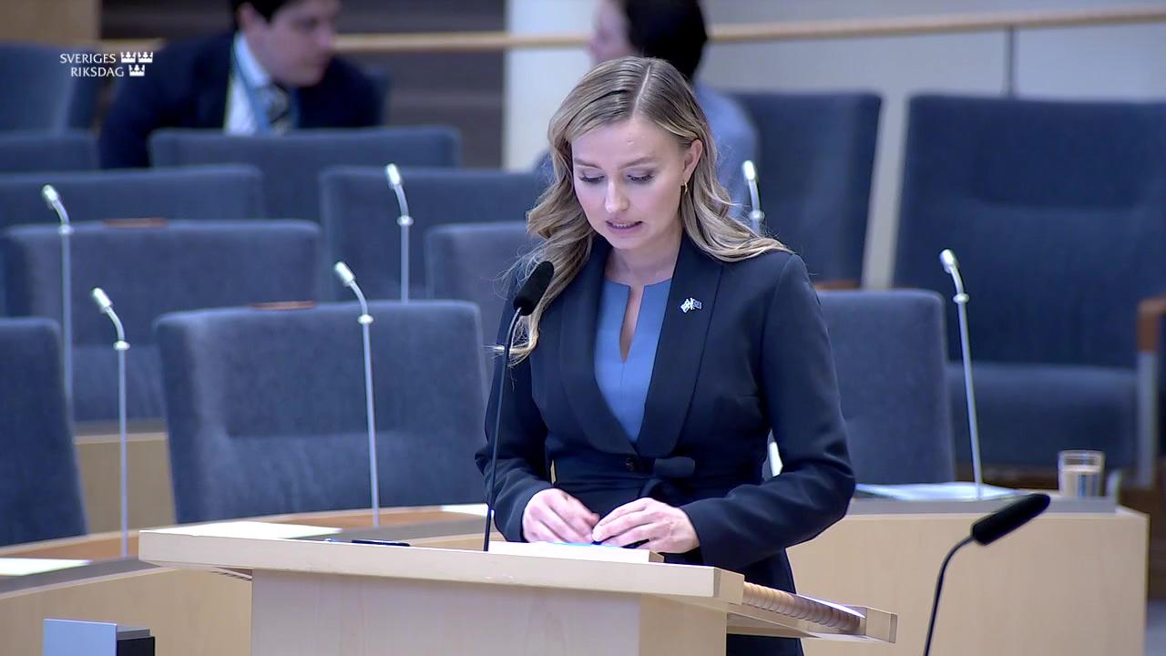 Stillbild från Interpellationsdebatt, Anslutning till stamnätet