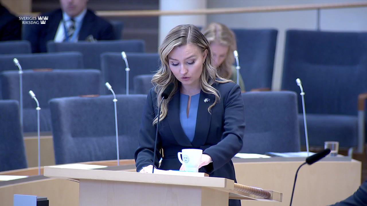 Stillbild från Interpellationsdebatt, Översyn av statliga näringslivsstöd