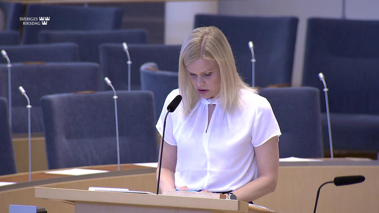 Stillbild från Interpellationsdebatt, Åtgärdsprogram mot svenskfientlighet